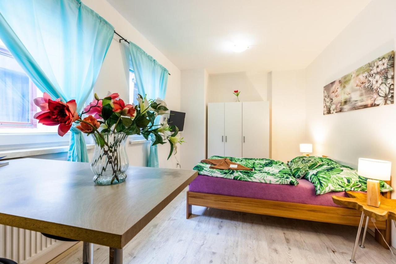 Apartia Krenova 31, Brno-Center Zewnętrze zdjęcie